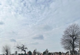  (photo)