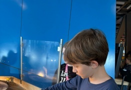  (photo)