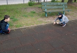  (photo)