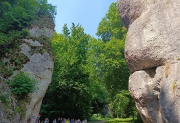  (photo)