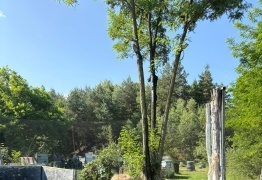  (photo)