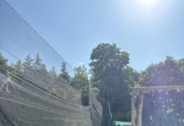  (photo)