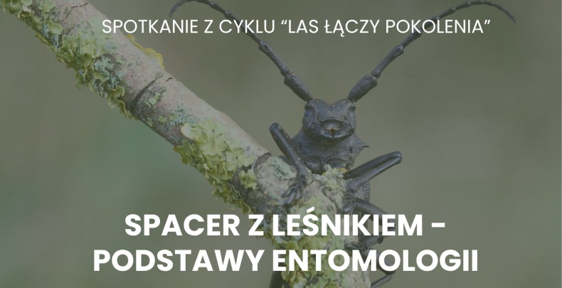 Las łączy pokolenia