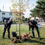 ,,45 drzew na 45-lecie szkoły”- relacja z finału projektu przyrodniczego