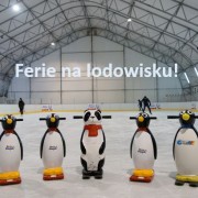 Zajęcia w ferie